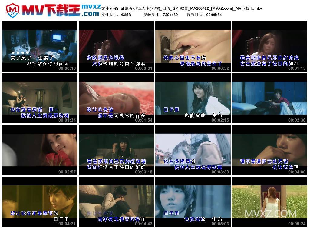 郝冠英-玫瑰人生(人物)_国语_流行歌曲_MA206422